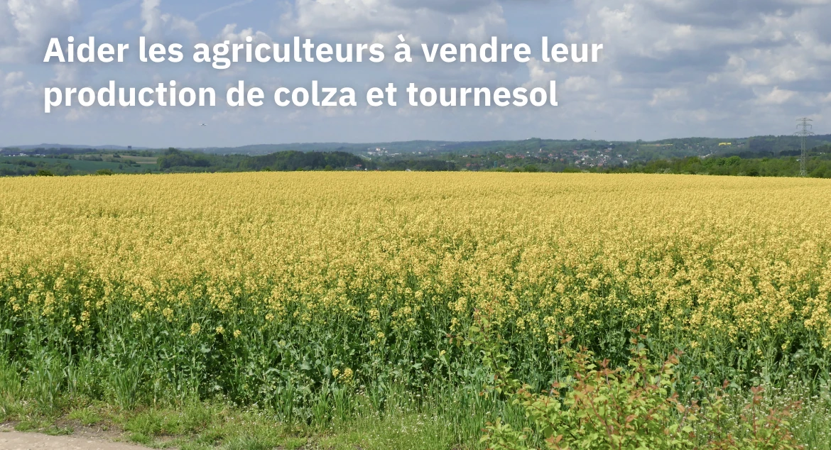 Aider les agriculteurs à vendre leur production de colza et tournesol