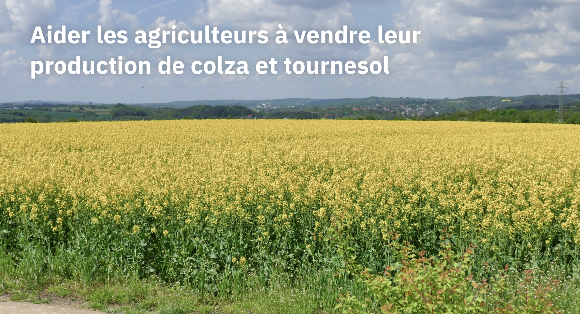 Aider les agriculteurs à vendre leur production de colza et tournesol