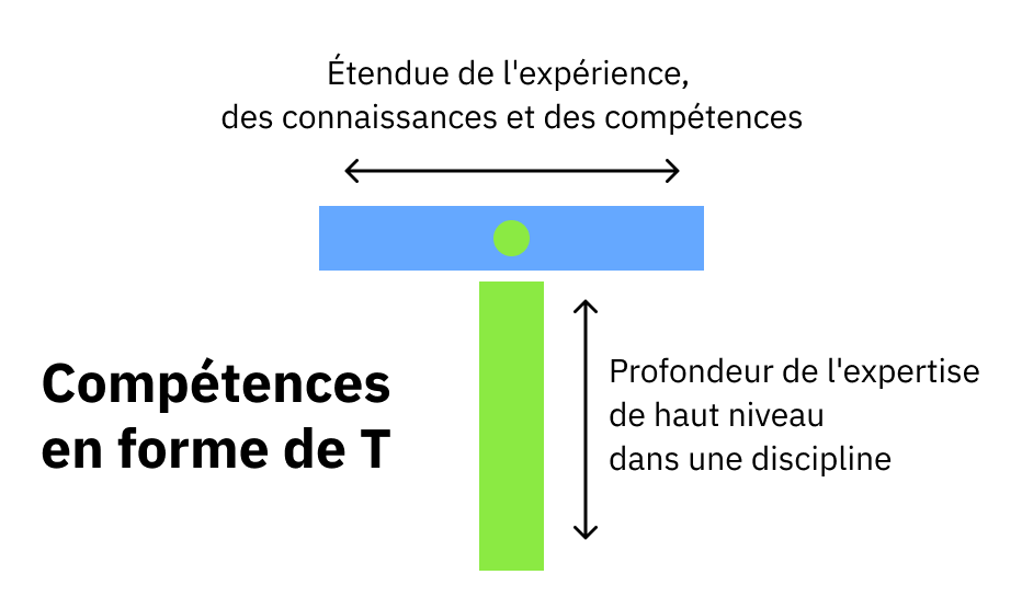 Étendue de l'expérience, des connaissances et des competences. Competences en forme de T. Profondeur de l'expertise de haut niveau dans une discipline.